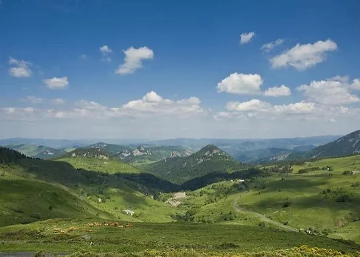 Zecamping 2 Avec Animaux Acceptes Et Piscine Chauffee Saint-Didier-en-Velay